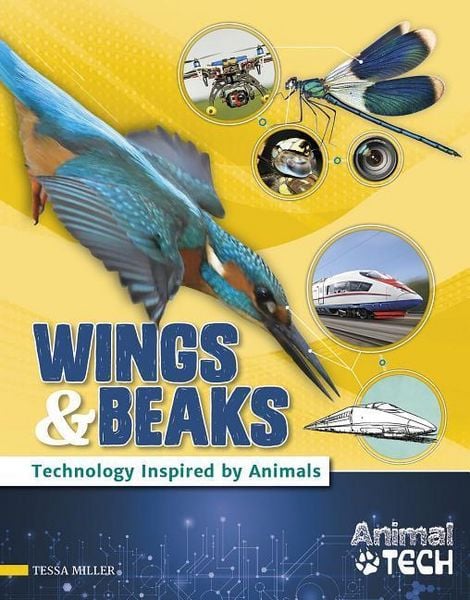 Produktbild: Wings & Beaks