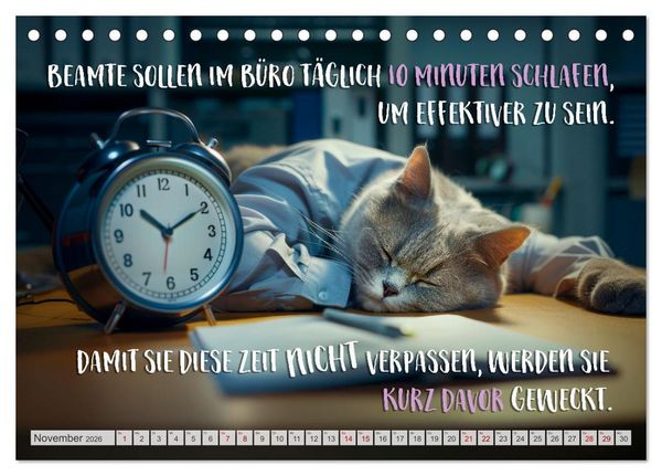 Produktbild: BEH&Ouml;RDE Der allt&auml;gliche Wahnsinn (Tischkalender 2026 DIN A5 quer), CALVENDO Monatskalender