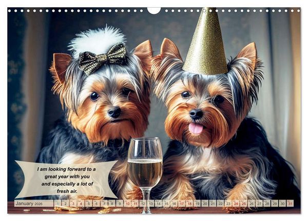 Produktbild: Great fun for Yorkshire Terrier lovers (Wall Calendar 2026 DIN A3 landscape), CALVENDO 12 Month Wall Calendar