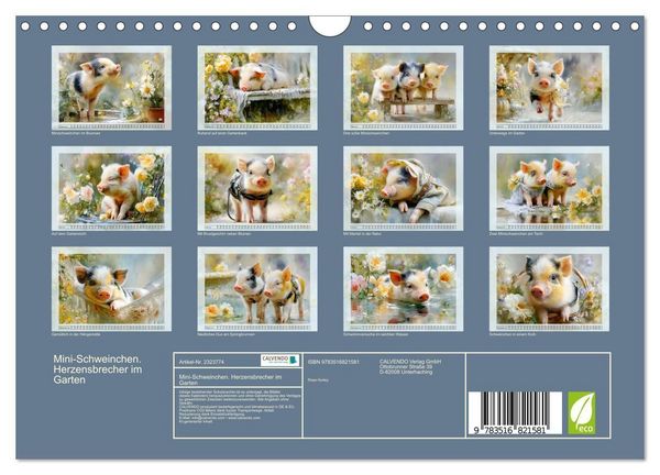 Produktbild: Mini-Schweinchen. Herzensbrecher im Garten (Wandkalender 2027 DIN A4 quer), CALVENDO Monatskalender