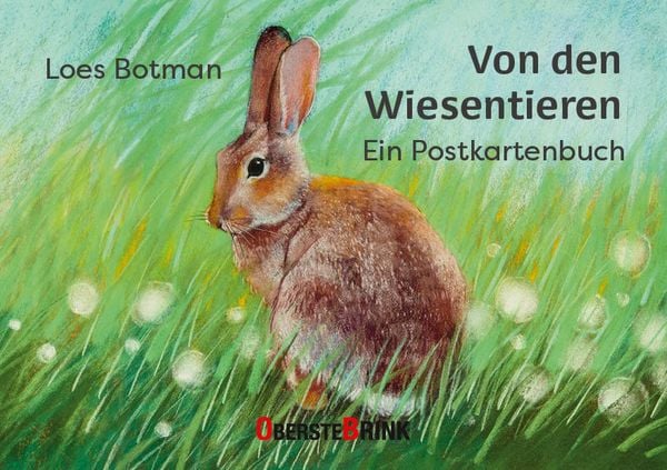 Produktbild: Von den Wiesentieren &ndash; Ein Postkartenbuch