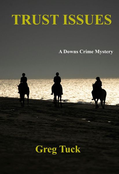 Produktbild: Trust Issues (Downs Crime Mysteries, #20)