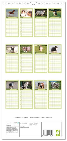 Produktbild: Familienplaner 2026 - Australian Shepherd - H&uuml;tehunde mit Familienanschluss mit 5 Spalten (Wandkalender, 21 x 45 cm) CALVENDO