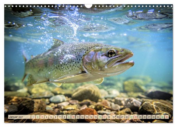 Produktbild: Talsperren - Raubfische (Wandkalender 2027 DIN A3 quer), CALVENDO Monatskalender