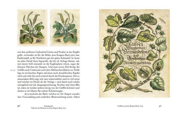 Produktbild: Maria Sibylla Merians Reise zu den Schmetterlingen