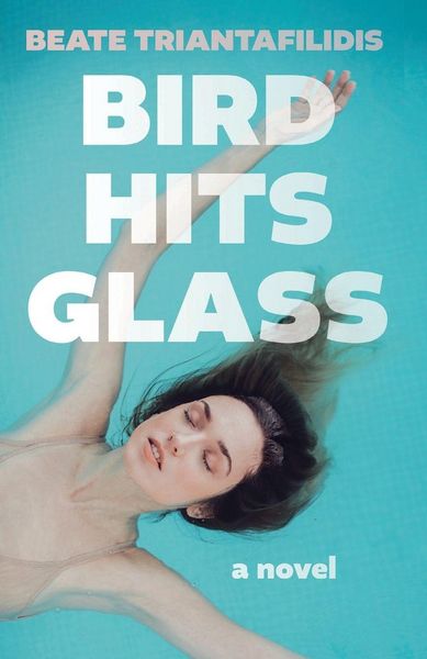 Produktbild: Bird Hits Glass