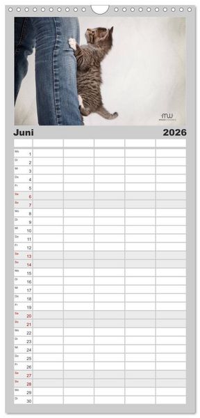 Produktbild: Familienplaner 2026 - Zauberhafte K&auml;tzchen mit 5 Spalten (Wandkalender, 21 x 45 cm) CALVENDO