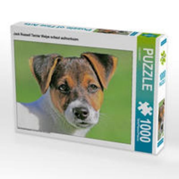 CALVENDO Puzzle Jack Russell Terrier Welpe schaut aufmerksam. | 1000 Teile Lege-Größe 64x48cm Foto-Puzzle für glückliche Stunden