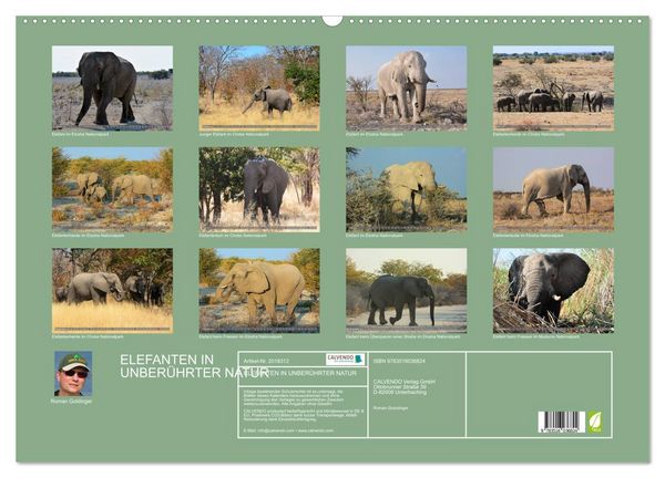 Produktbild: ELEFANTEN IN UNBER&Uuml;HRTER NATUR (Wandkalender 2026 DIN A2 quer), CALVENDO Monatskalender