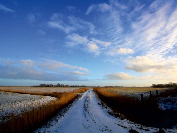 Produktbild: Winterliche Felder in Butjadingen (Puzzle)
