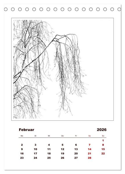 Produktbild: LignoGrafica - Muster und Strukturen der B&auml;ume (Tischkalender 2026 DIN A5 hoch), CALVENDO Monatskalender