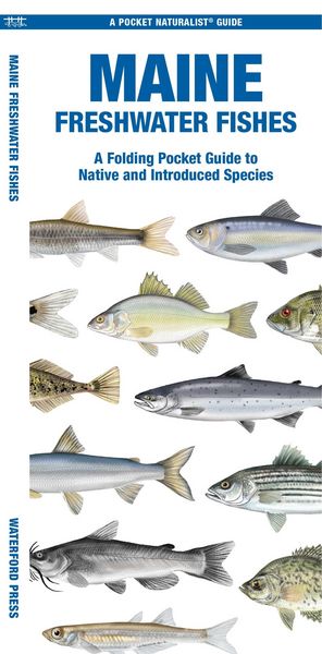 Produktbild: Maine Freshwater Fishes