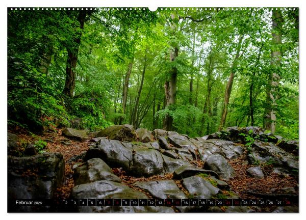 Produktbild: Wege des einfachen Gl&uuml;cks - Spazierg&auml;nge im Wald (Wandkalender 2026 DIN A2 quer), CALVENDO Monatskalender