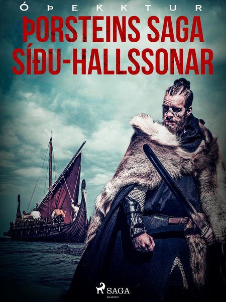 Produktbild: &Egrave;orsteins saga S&iacute;&eth;u-Hallssonar