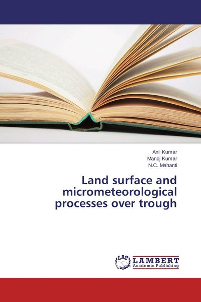 Produktbild: Land surface and micrometeorological processes over trough