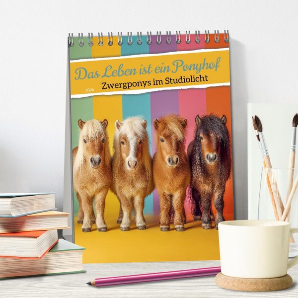 Produktbild: Das Leben ist ein Ponyhof - Zwergponys im Studiolicht (Tischkalender 2026 DIN A5 hoch), CALVENDO Monatskalender