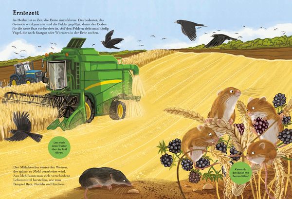 Produktbild: Mein Sach-Stickerbuch Natur &ndash; Bauernhoftiere
