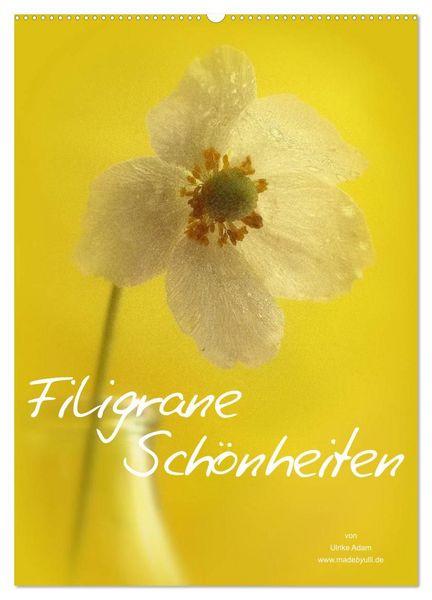 Produktbild: Filigrane Sch&ouml;nheiten 2027 (Wandkalender 2027 DIN A2 hoch), CALVENDO Monatskalender