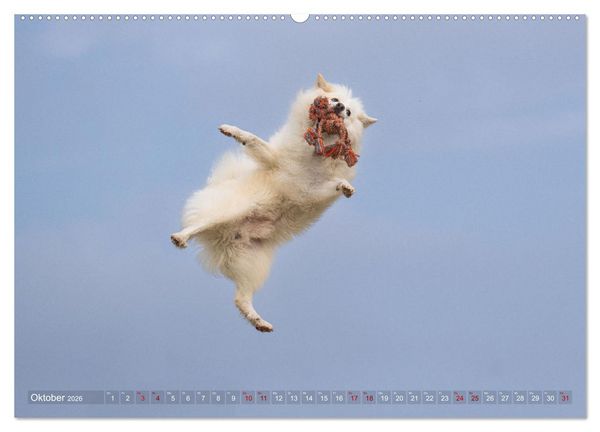 Produktbild: Mein fliegender Isl&auml;nder (hochwertiger Premium Wandkalender 2026 DIN A2 quer), Kunstdruck in Hochglanz