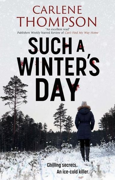 Produktbild: Thompson, C: Such a Winter's Day