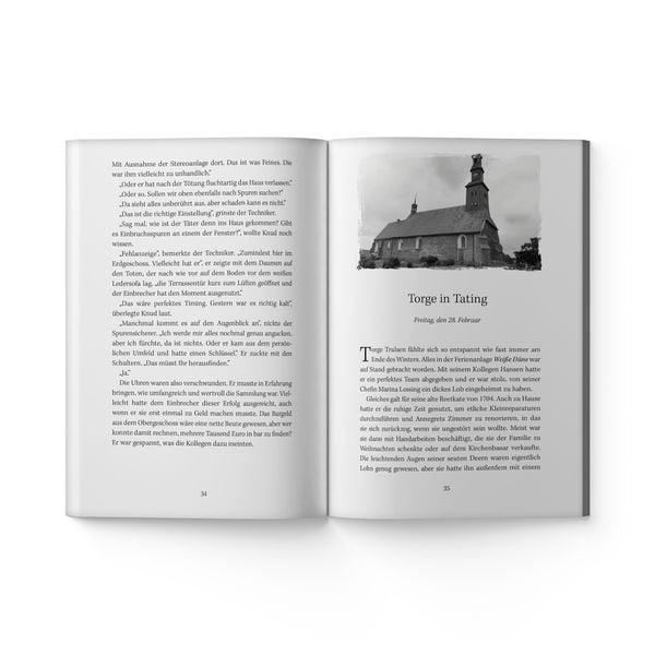 Produktbild: Eiskalte Vergeltung in St. Peter-Ording