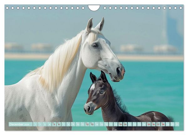 Produktbild: White Horses in Splendor (Wall Calendar 2026 DIN A4 landscape), CALVENDO 12 Month Wall Calendar