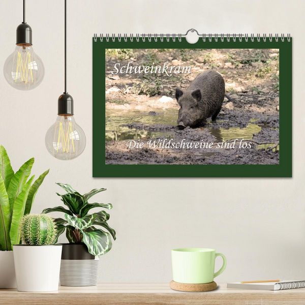 Produktbild: Schweinkram - Die Wildschweine sind los (Wandkalender 2026 DIN A4 quer), CALVENDO Monatskalender