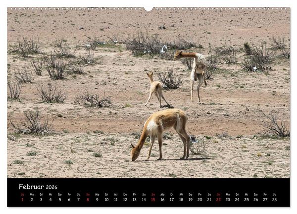 Produktbild: Traumziel Peru (hochwertiger Premium Wandkalender 2026 DIN A2 quer), Kunstdruck in Hochglanz