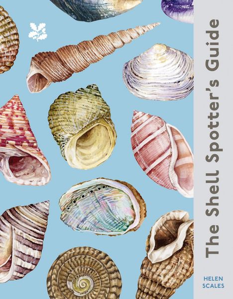 Produktbild: The Shell-Spotter's Guide