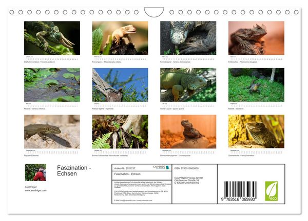Produktbild: Faszination - Echsen (Wandkalender 2026 DIN A4 quer), CALVENDO Monatskalender