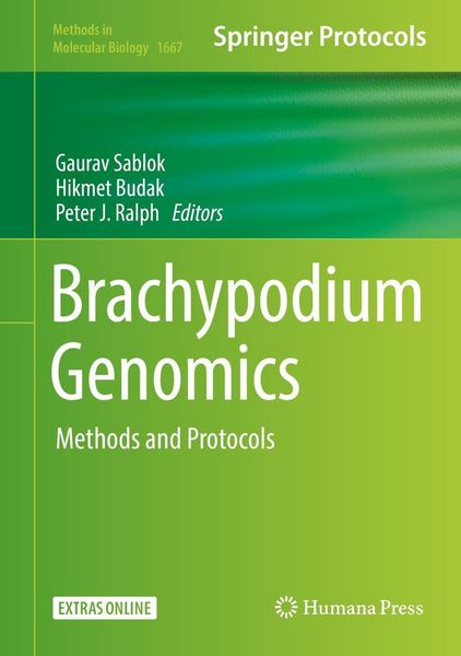 Produktbild: Brachypodium Genomics
