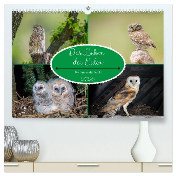 Produktbild: Das Leben der Eulen, die Damen der Nacht (hochwertiger Premium Wandkalender 2026 DIN A2 quer), Kunstdruck in Hochglanz