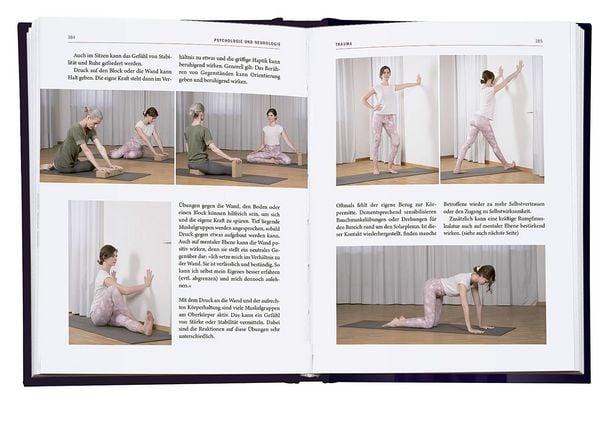 Produktbild: Yoga-Therapie in der Praxis