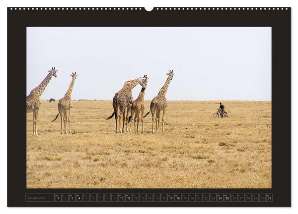 Produktbild: Kenia (hochwertiger Premium Wandkalender 2026 DIN A2 quer), Kunstdruck in Hochglanz