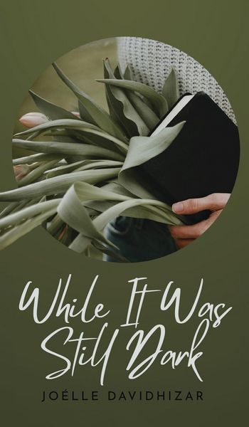Produktbild: While It Was Still Dark