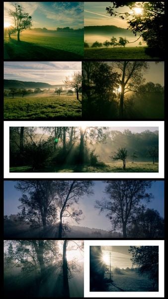 Produktbild: Moments Of Nature