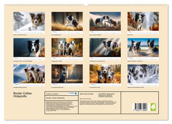 Produktbild: Border Collies H&uuml;teprofis (hochwertiger Premium Wandkalender 2026 DIN A2 quer), Kunstdruck in Hochglanz