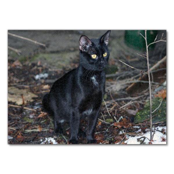 1000 Teile Holz Puzzle Katze - Premium Lindenholz Puzzle 50x75cm Für Erwachsene