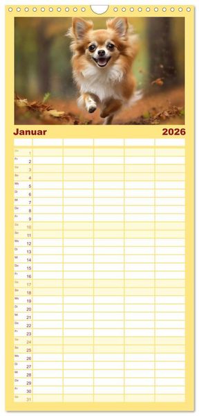 Produktbild: Familienplaner 2026 - Chihuahuas - Kleine Hunde - gro&szlig;e Temperamentb&uuml;ndel mit 5 Spalten (Wandkalender, 21 x 45 cm) CALVENDO