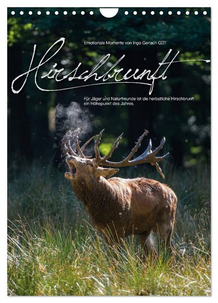 Produktbild: Emotionale Momente: Hirschbrunft (Wandkalender 2026 DIN A4 hoch), CALVENDO Monatskalender