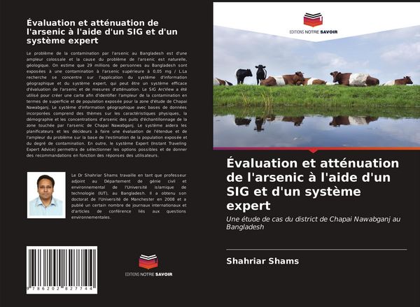 Produktbild: &Eacute;valuation et att&eacute;nuation de l'arsenic &agrave; l'aide d'un SIG et d'un syst&egrave;me expert