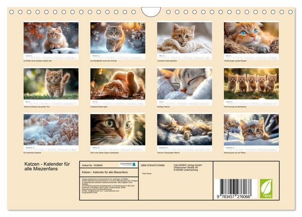 Produktbild: Katzen - Kalender f&uuml;r alle Miezenfans (Wandkalender 2026 DIN A4 quer), CALVENDO Monatskalender