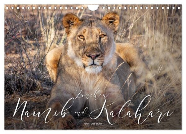 Produktbild: Zwischen Namib und Kalahari (Wandkalender 2027 DIN A4 quer), CALVENDO Monatskalender