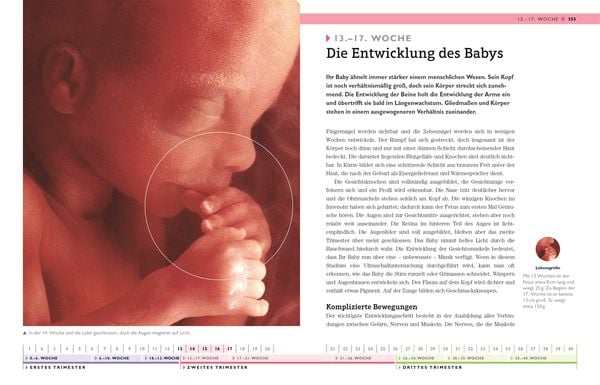 Produktbild: Meine Schwangerschaft Woche f&uuml;r Woche