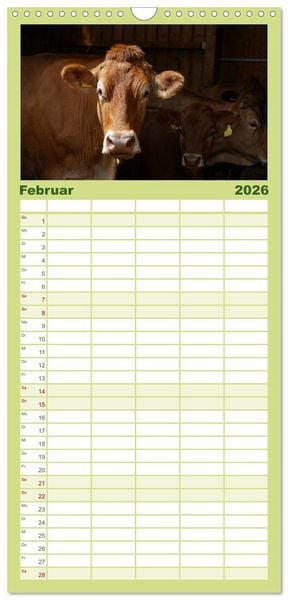 Produktbild: Familienplaner 2026 - Weiderinder im Frankenwald mit 5 Spalten (Wandkalender, 21 x 45 cm) CALVENDO