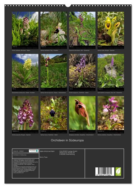 Produktbild: Orchideen in S&uuml;deuropa (hochwertiger Premium Wandkalender 2026 DIN A2 hoch), Kunstdruck in Hochglanz