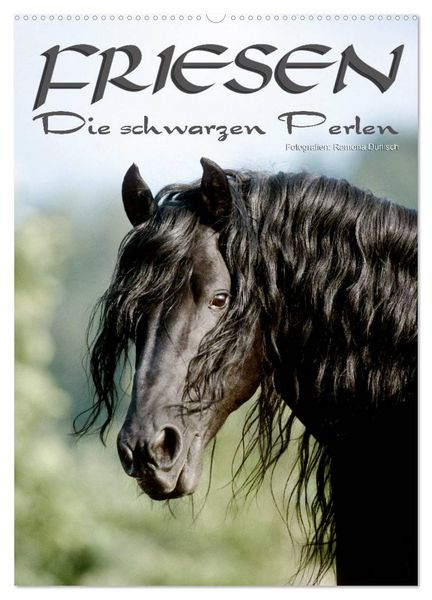 Produktbild: Friesen - die schwarzen Perlen (Wandkalender 2026 DIN A2 hoch), CALVENDO Monatskalender