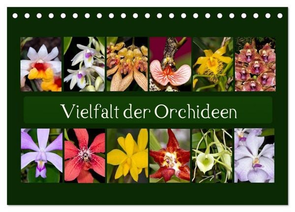 Vielfalt der Orchideen (Tischkalender 2026 DIN A5 quer), CALVENDO Monatskalender
