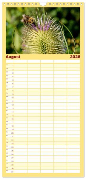 Produktbild: Familienplaner 2026 - Bienenkalender mit 5 Spalten (Wandkalender, 21 x 45 cm) CALVENDO