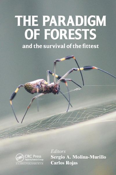 Produktbild: The Paradigm of Forests and the Survival of the Fittest